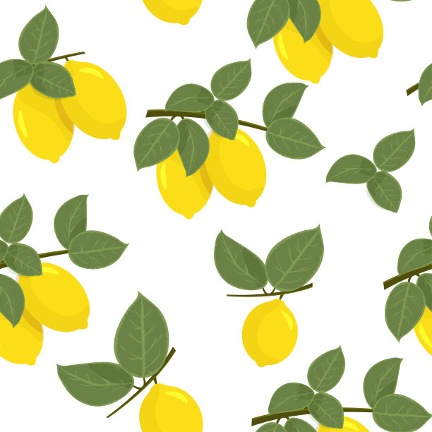 无缝的柑橘类的模式。图片下载