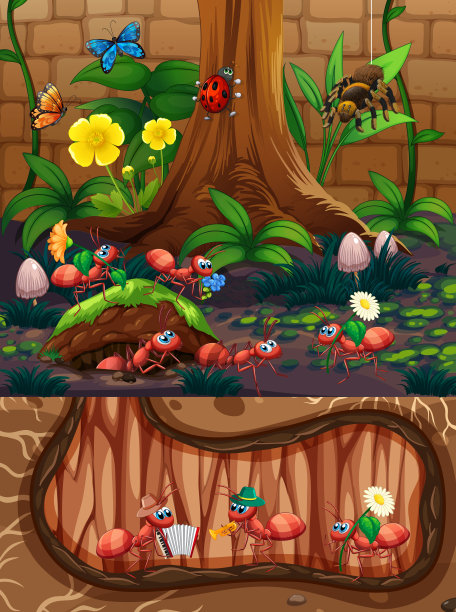 蚂蚁家庭和它们的巢穴图片下载