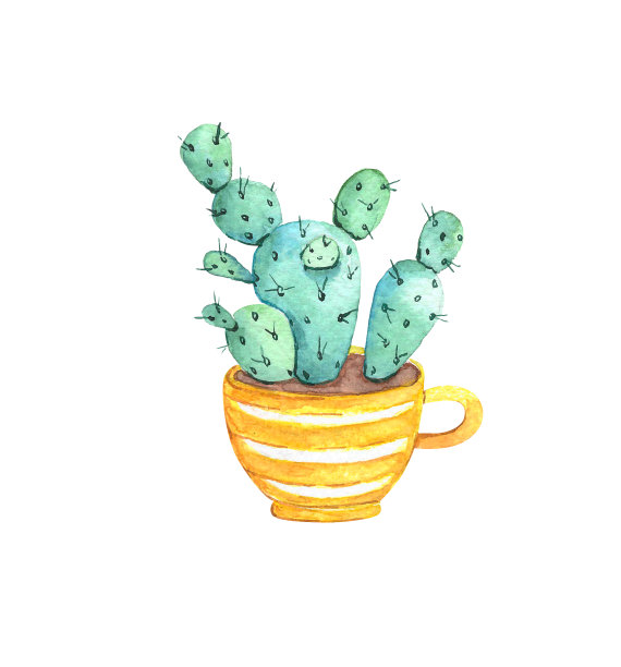 仙人掌花水彩画上的白色背景素材图片