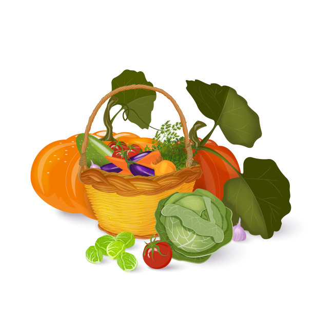 一个装满成熟新鲜蔬菜和大南瓜的柳条篮子。秋天的收获。矢量插图。孤立在白色背景上。图片下载