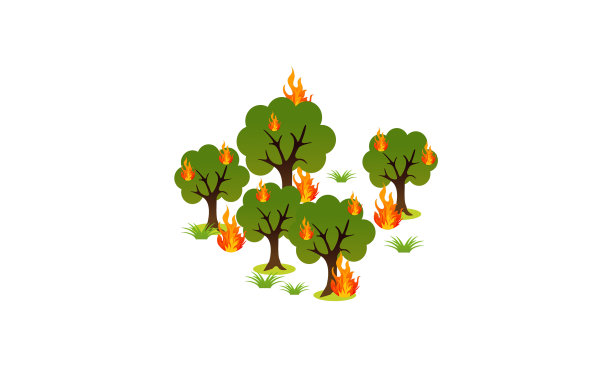 森林火灾自然灾害概念图片下载