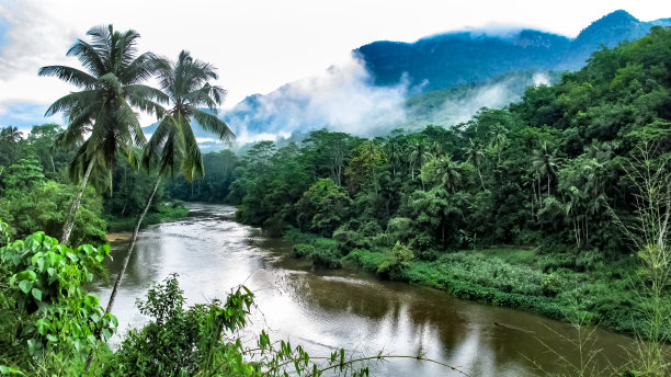 热带雾土地图片下载