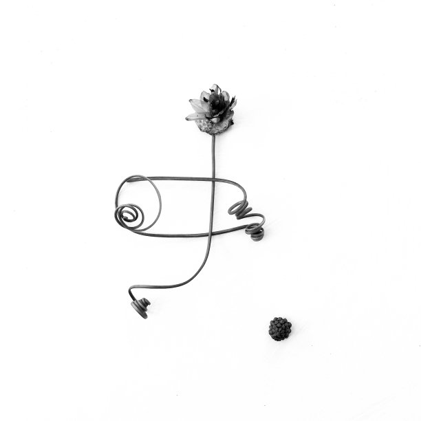 微妙的问题2图片下载