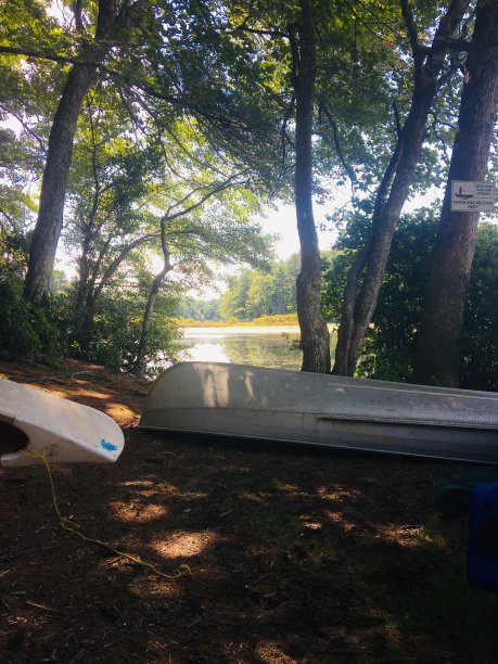 划独木舟图片下载