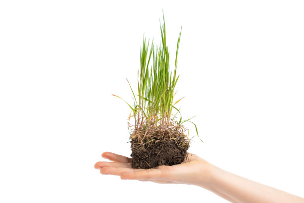 女人手里拿着泥土的一块地。32、生态生态理念，拯救地球。图片下载