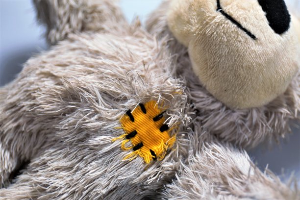 软的玩具熊图片下载