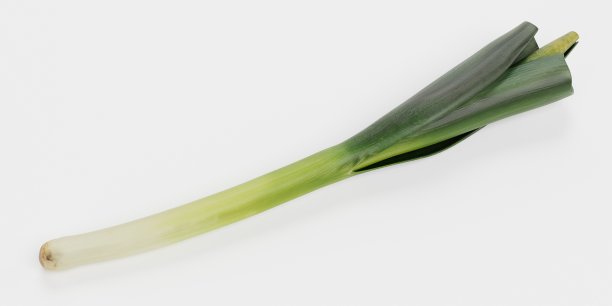 韭菜的现实3D渲染图片下载