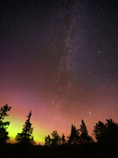 在黑暗的森林上空点缀着北极光的星空图片下载