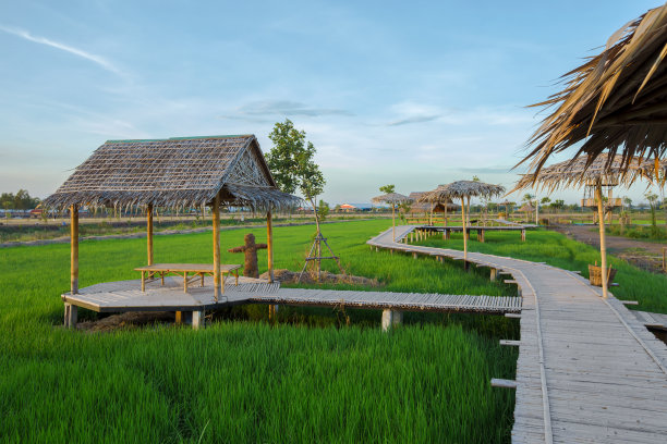 亚洲，竹材料，桥梁结构，农场，北碧府图片下载