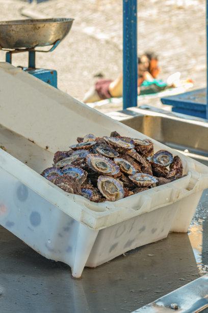 小型私人海鲜市场。柜台上放着一个白色的塑料托盘，里面放着清晨捕来的新鲜野生拉巴鱼。古老的港口，克鲁兹港的历史部分。西班牙特内里费图片下载