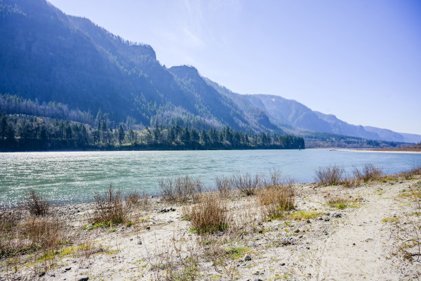 桑迪哥伦比亚河岸，在哥伦比亚峡谷的高山脉上长满了树木图片下载