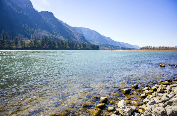 哥伦比亚河的岩石河岸，在哥伦比亚峡谷的高山脉中长满了树木图片下载