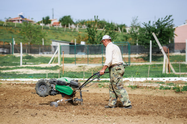 在春天的田野里，人们用犁机在花园里工作图片下载