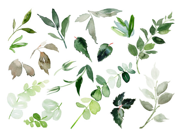 一套水彩树枝和树叶为贺卡素材图片