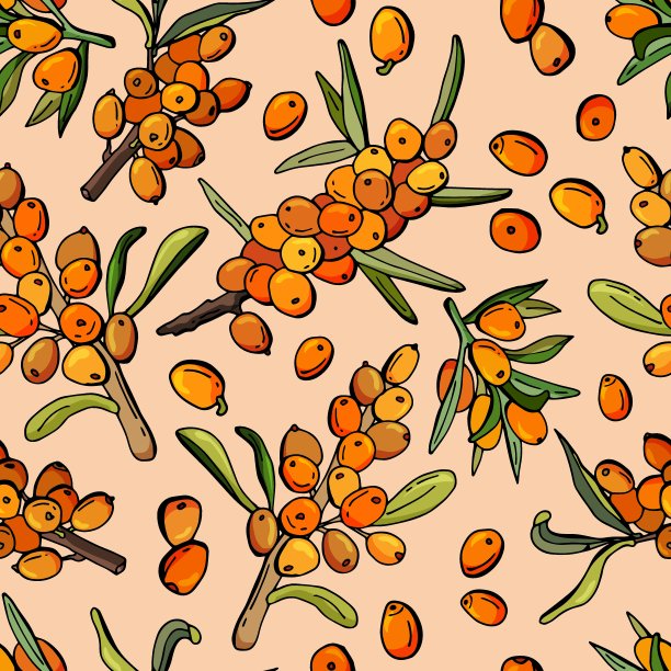 无缝模式与沙棘浆果。图片下载