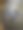 猪的尾巴的特写镜头站在谷仓里图片下载