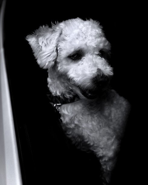 比洪坡图片下载