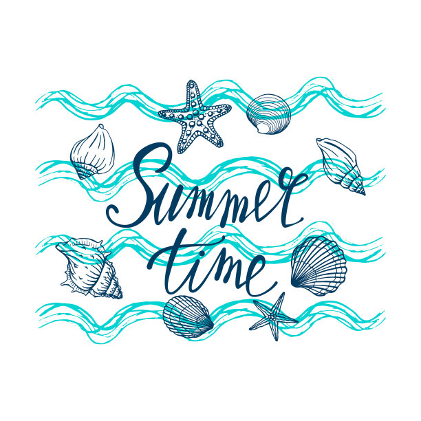 海贝，夏天，假期，套海贝和海星，矢量。手绘贝壳和海星。美丽的碑文在现代书法。图片下载