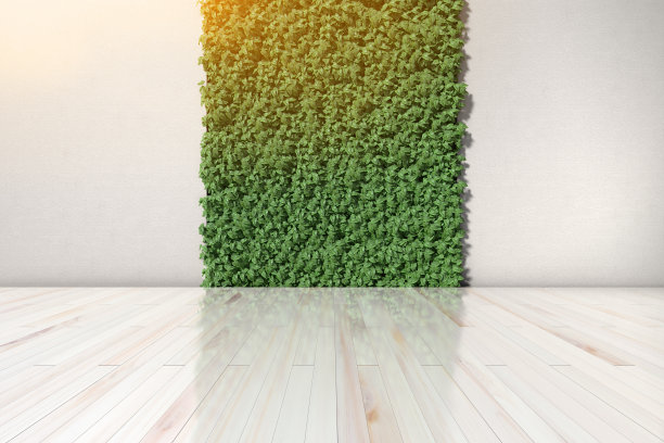 垂直花园和混凝土墙的一般3D插图与现代木地板图片下载