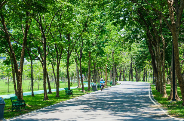 公园风景图片下载