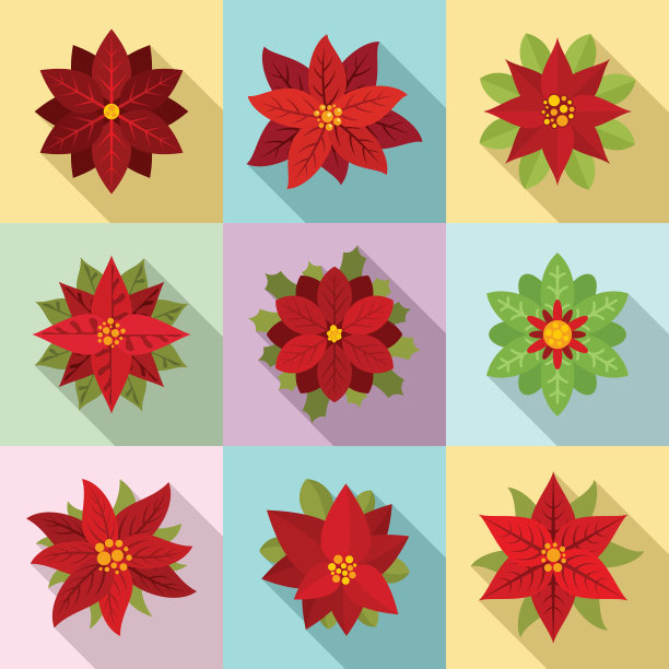 一品红图标设置，平风格图片下载