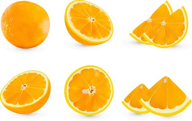 3 d现实的橙色。新鲜橙子，整块，切片。有益的成熟新鲜橙富含维生素C，天然产物。矢量图图片下载