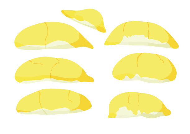 黄色的榴莲果实颜色和成熟的榴莲块上白色的背景插图向量图片下载