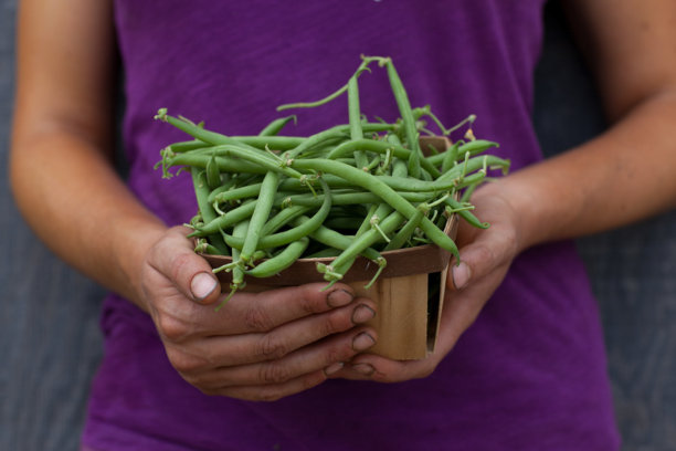 篮子里的绿豆图片下载