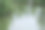 美丽的春江天鹅鸟在流淌的大自然中。早晨和晚上的风景五彩缤纷。去世界上荒芜的地方旅行。设计素材照片图片下载