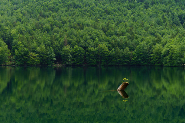 美丽的奥地利图片下载