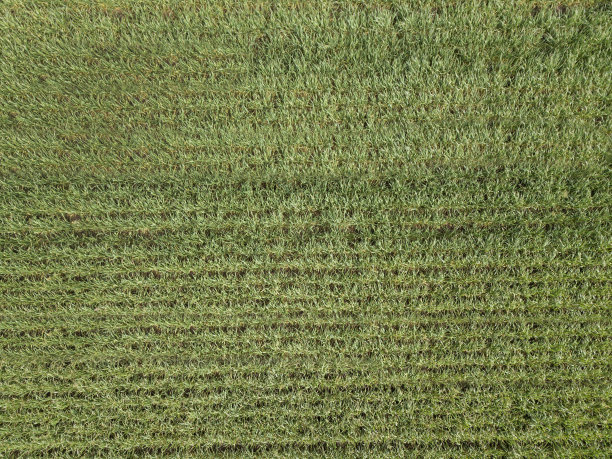 无人机照片的新割的田野在色彩缤纷的早春日在农村村庄-从上到下的观点，纹理图片下载