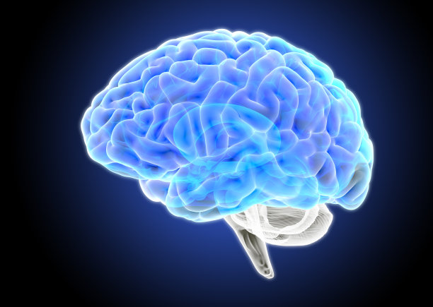 3D渲染蓝色透明人脑x射线插图图片下载