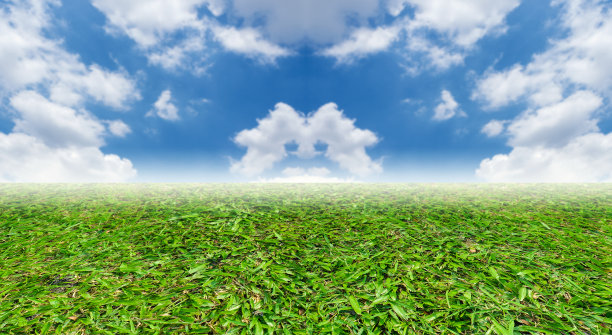 绿草蓝天为背景图片下载