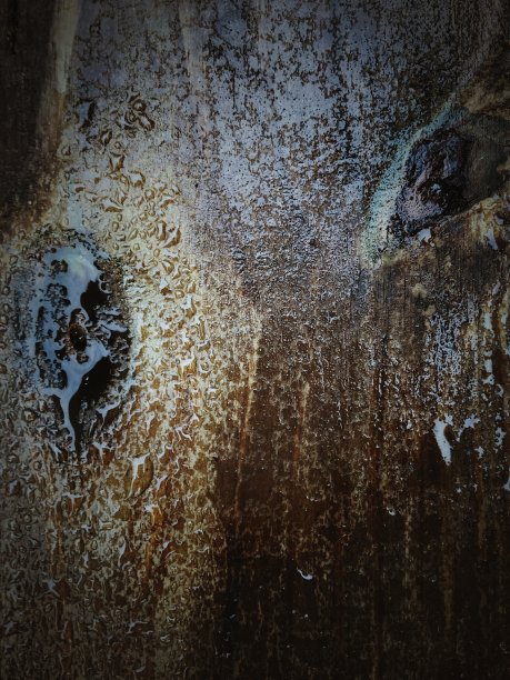 木纹的背景图片下载