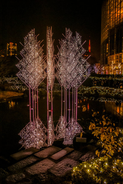 圣诞彩灯和夜景的形象图片下载