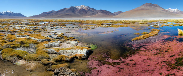 玻利维亚乌尤尼湖全景照片。山脉的观点。引人注目的山地景观荒野。风景与美丽的山背景。图片下载