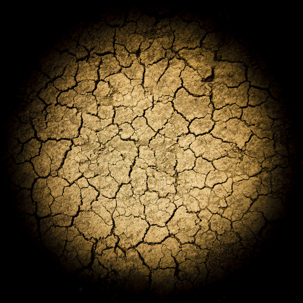 背景看起来像一个圆形的风化的地球碎片。地球上动植物纯净水的全球危机的概念。图片下载