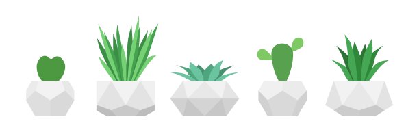 新潮的几何花盆中的花朵。向量集肉质植物。家庭园艺图片下载