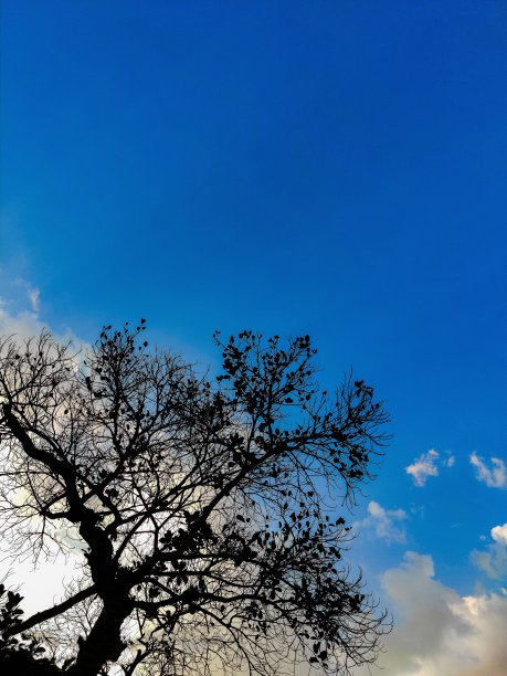 户外活动图片下载