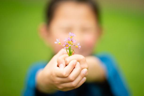 孩子拿着一朵小花图片下载