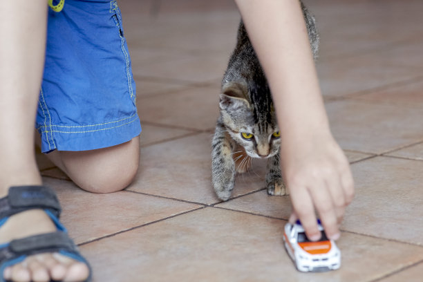 小男孩和可爱的虎斑猫在陶瓷地板上玩儿童玩具车。可爱小猫和人类小孩的友谊。图片下载