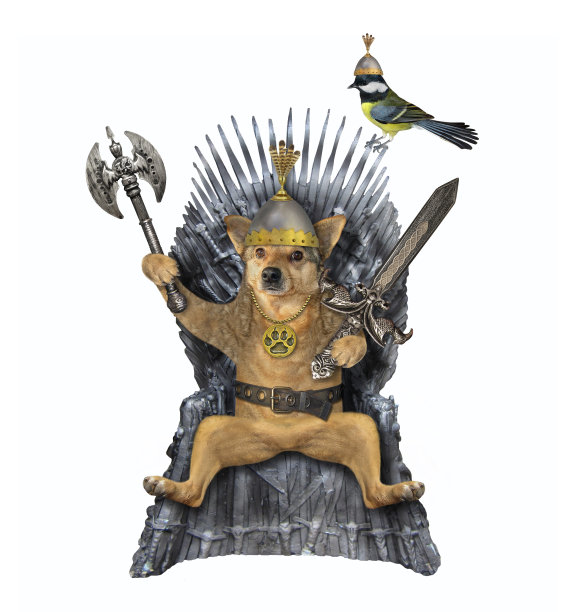 带着剑和斧头坐在宝座上的狗2图片下载