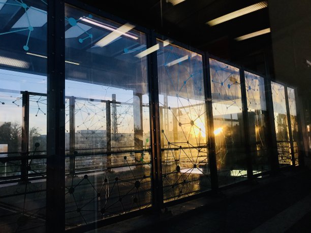 剪影眼镜与阳光背景独特的照片图片下载