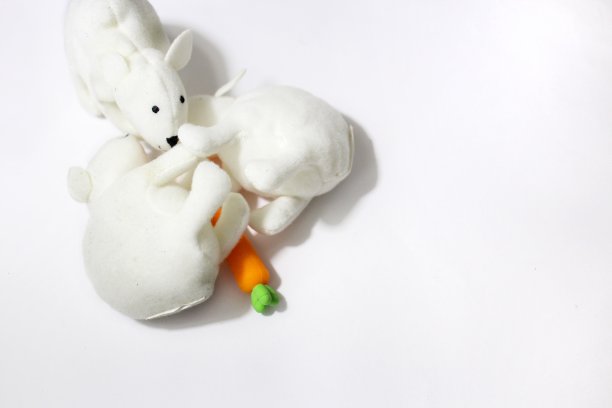 三只熊图片下载