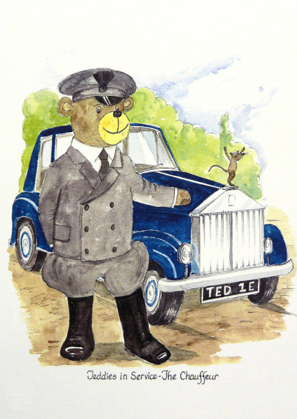 泰迪-司机图片下载