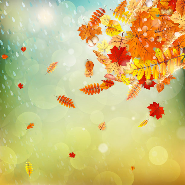 秋天概念背景。每股收益10图片下载