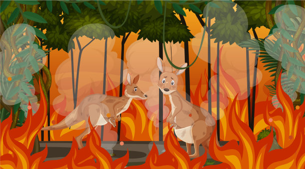 大火现场，动物被困图片下载