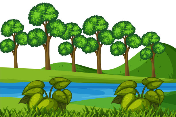 风景背景河流和森林图片下载