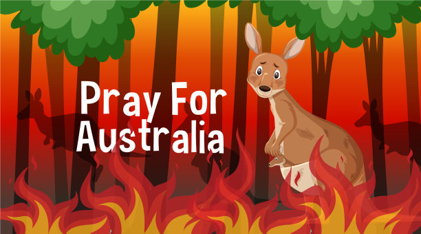 大火现场，动物被困图片下载