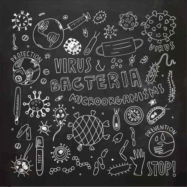 病毒和细菌剪贴画。矢量插图。手绘涂鸦。图片下载